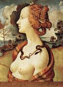 Piero di Cosimo Portrait of Simonetta Vespucci oil painting reproduction